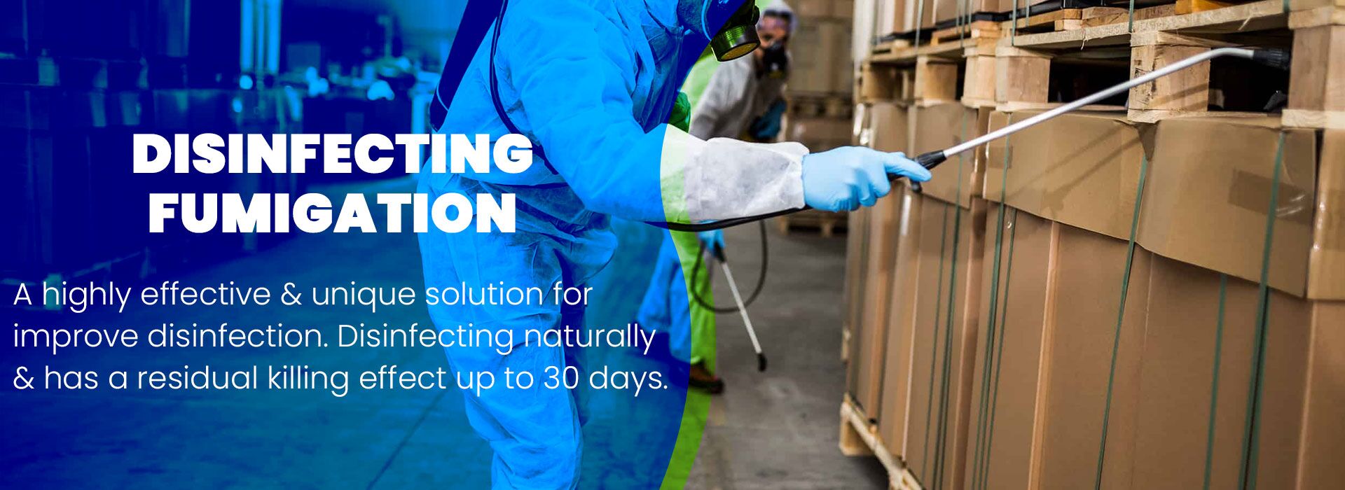 Pest Control Sandton Cleaning Services Hygiene Services