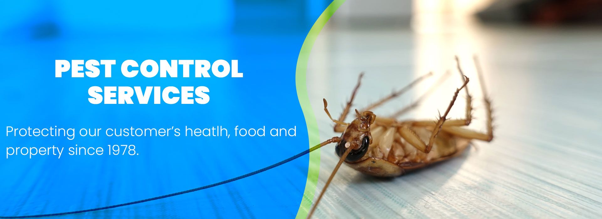 Pest Control Sandton Cleaning Services Hygiene Services